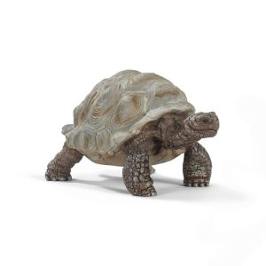 Tortuga Gigante (SCHLEICH)