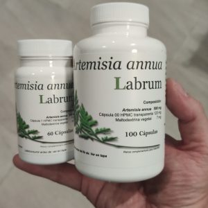 Artemisia Annua Labrum