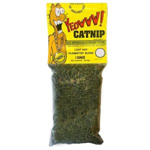 Menta gatuna catnip 28,35 gr.