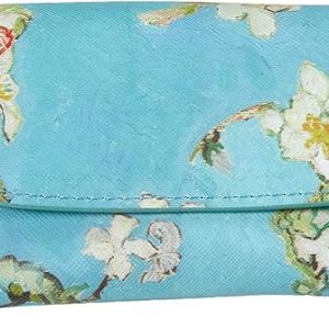 Funda Gafas Van Gogh Museum (BUSQUETS)