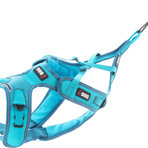 Arnes Xback Phoenix  IDog