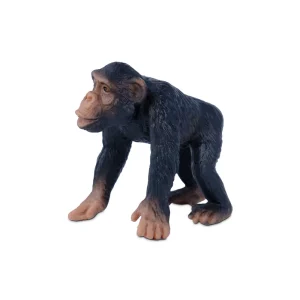 Figura Chimpancé | Little Wild