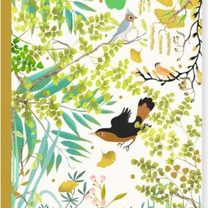 Cuaderno Tinou (DJECO)