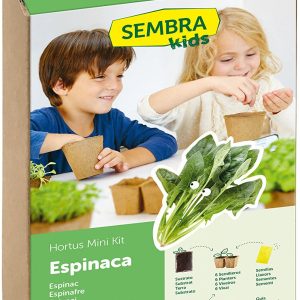 Kit de Siembra Espinacas (SEMBRA KIDS)