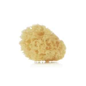 Esponja Natural 2 Uds.