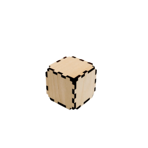 Infinite Loop Games Vega Cube