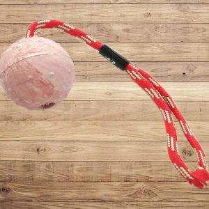 Pelota con asa variable Julius K9 50 cm.