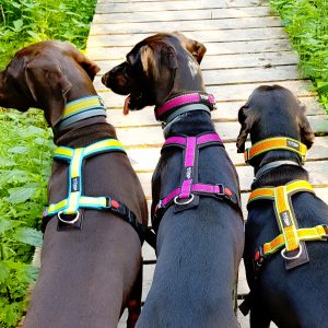 Arnes Multifuncional Trop