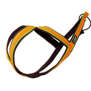 Core Harness Trop Dog Sportswear